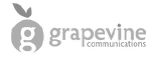logo30
